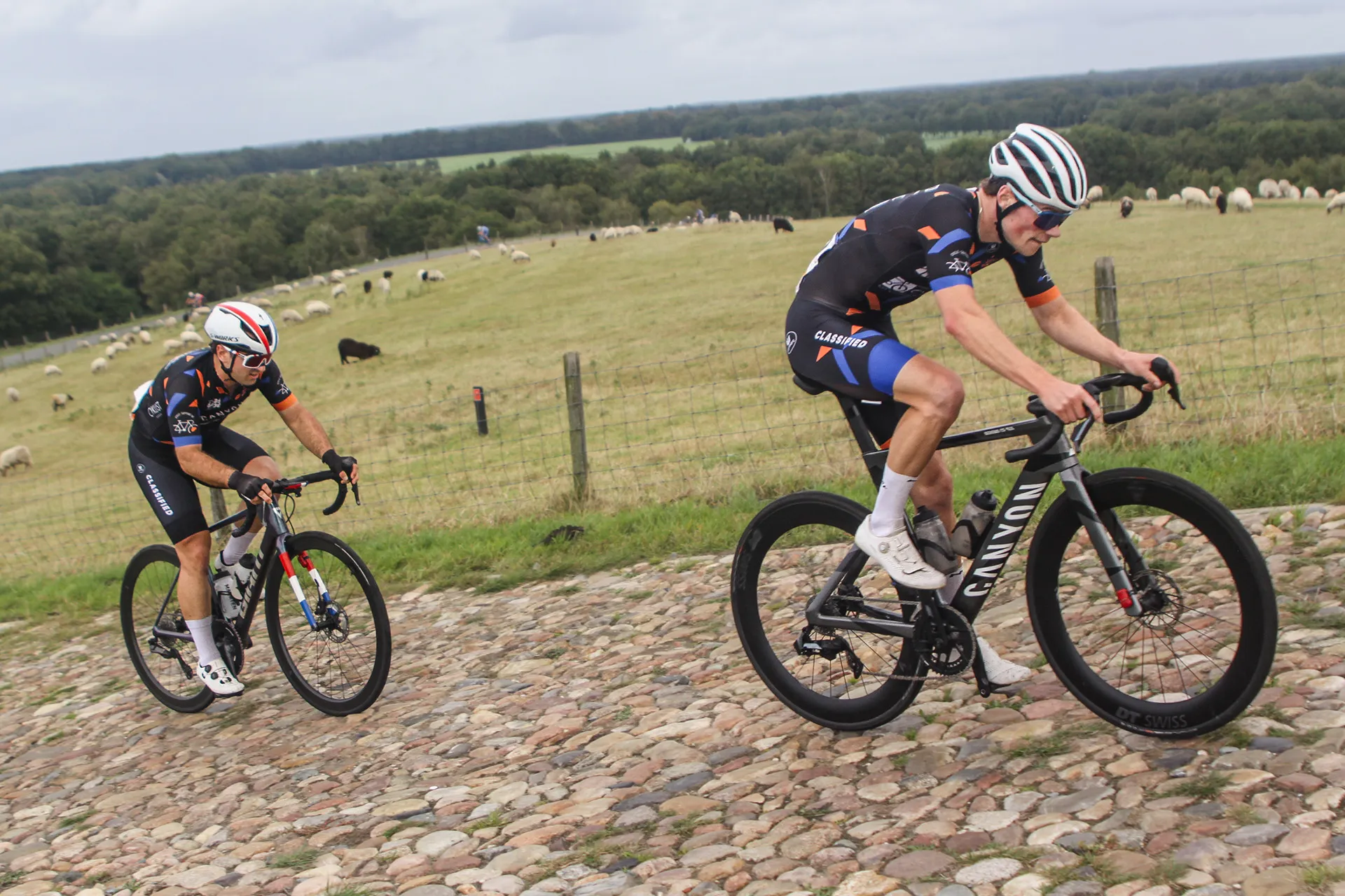 NSK-Vamberg Squadra Veloce